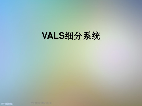 VALS细分系统