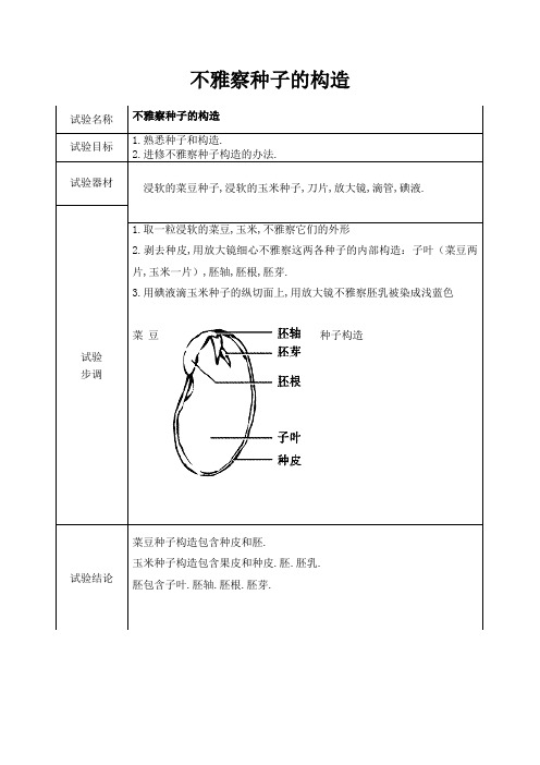 观察种子的结构实验报告