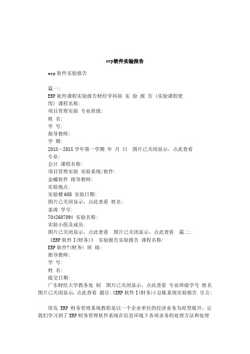 erp软件实验报告