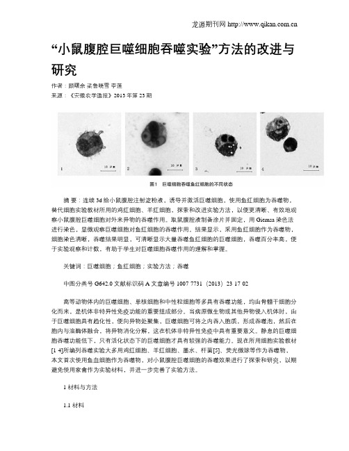 “小鼠腹腔巨噬细胞吞噬实验”方法的改进与研究