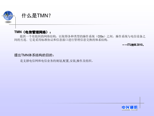 TMN参考点