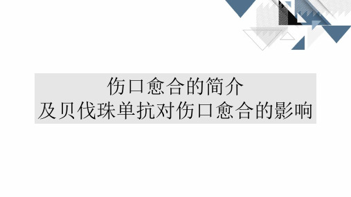 伤口愈合的简介及贝伐珠单抗对伤口愈合的影响