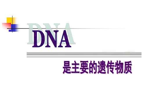 高中生物_DNA是主要的遗传物质_新人教版必修2