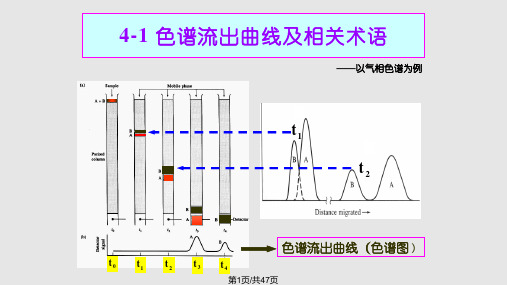 色谱法基本理论PPT课件