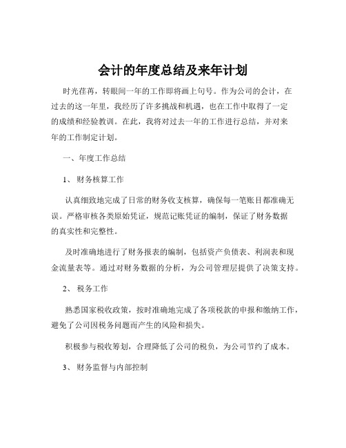 会计的年度总结及来年计划