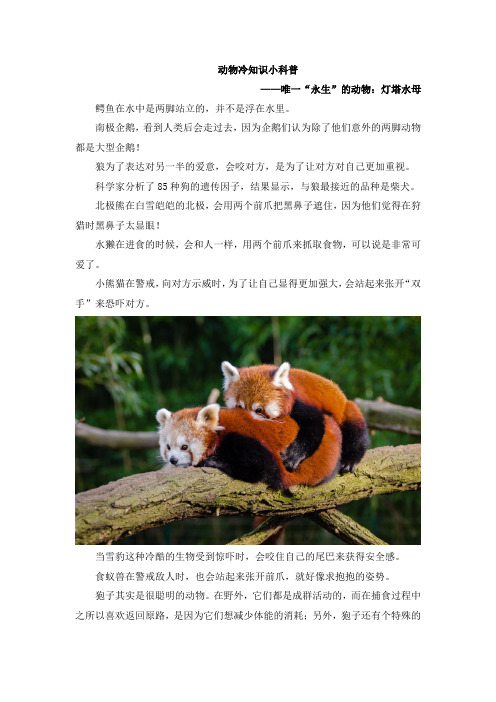 唯一“永生”的动物:灯塔水母