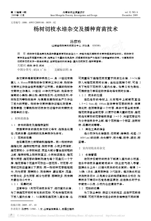 杨树切枝水培杂交及播种育苗技术