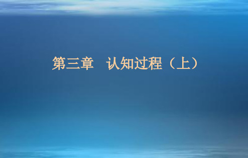第3章 认知过程(上)