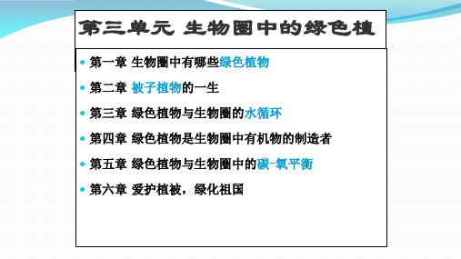 最新人教版生物七年级上册优质复习课件     第三单元 生物圈中的绿色植物