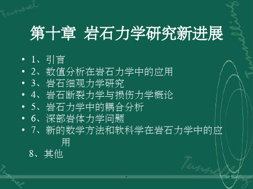 岩石力学研究新进展 ppt