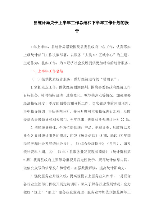 县统计局关于上半年工作总结和下半年工作计划的报告(最新)