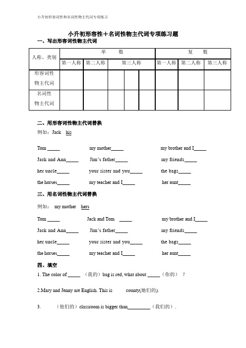 小升初英语形容词性和名词性物主代词专项练习(试题)-2021-2022学年英语六年级下册