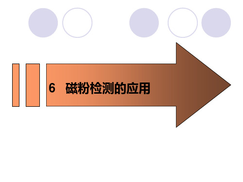 第六章 磁粉检测的应用