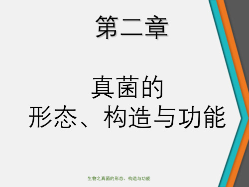 生物之真菌的形态、构造与功能