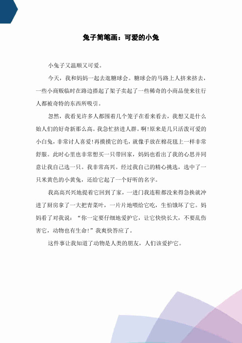 兔子简笔画:可爱的小兔