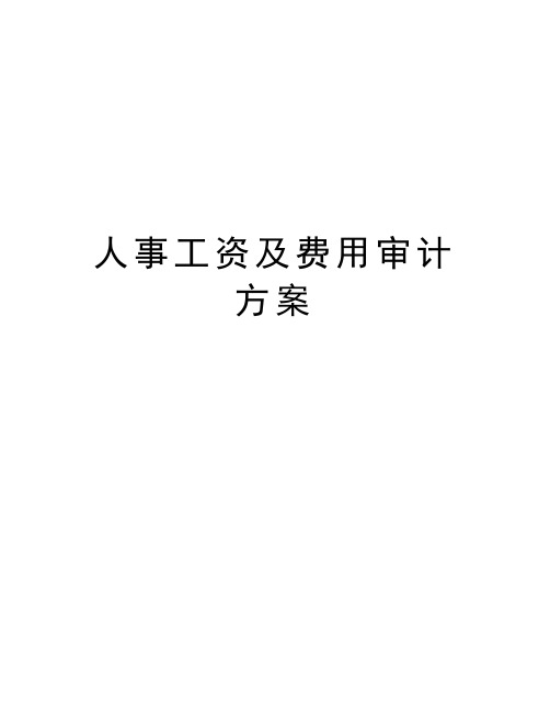 人事工资及费用审计方案讲课教案