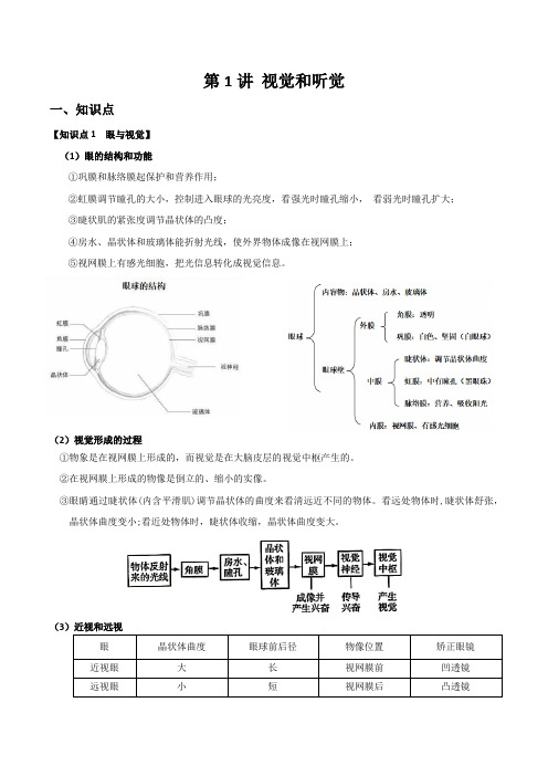 第1讲视觉和听觉