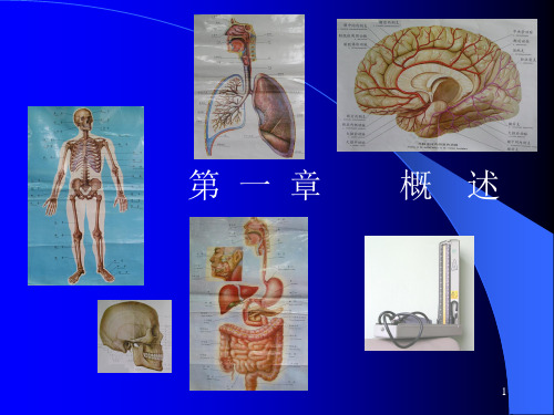 海上急救1