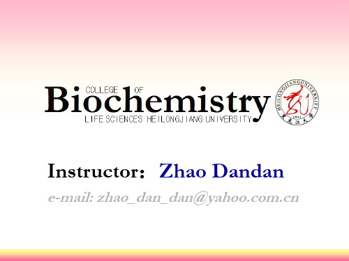 【生物化学】Chapter 11  Oxidative Phosphorylation