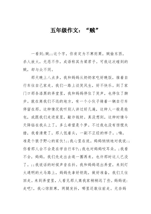 五年级作文:“贼”