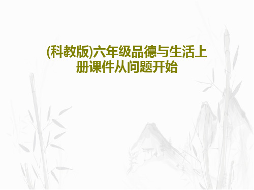 (科教版)六年级品德与生活上册课件从问题开始共19页文档