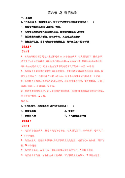 5.1.6鸟(练习)(解析版)