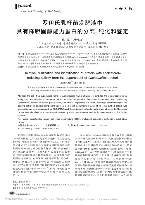 罗伊氏乳杆菌发酵液中具有降胆固醇能力蛋白的分离、纯化和鉴定