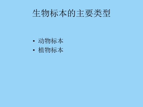 动物标本的制作全文编辑修改