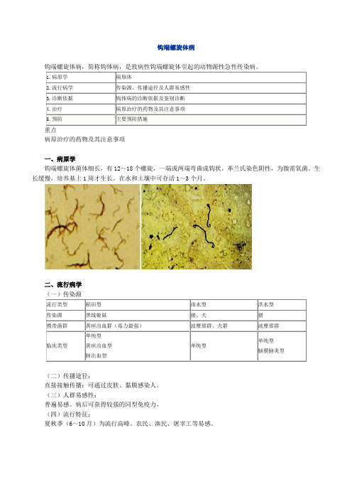 医学临床讲义资料-钩端螺旋体病--图文解说