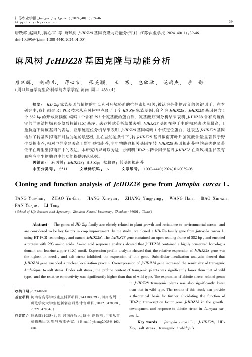 麻风树JcHDZ28_基因克隆与功能分析