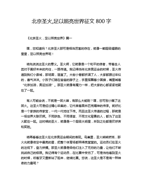 北京圣火,足以照亮世界征文800字