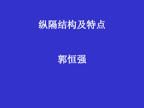 纵隔解剖