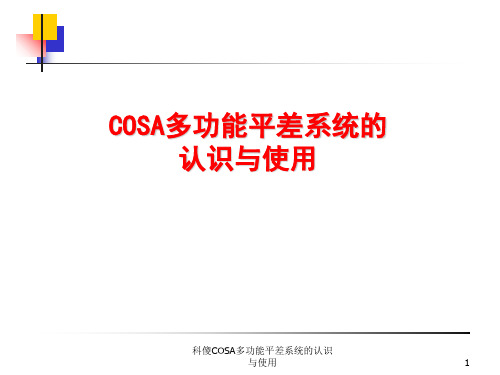 科傻COSA多功能平差系统的认识与使用 ppt课件