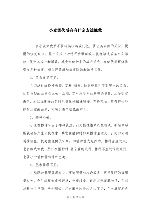 小麦倒伏后有有什么方法挽救