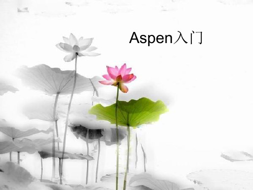 Aspen