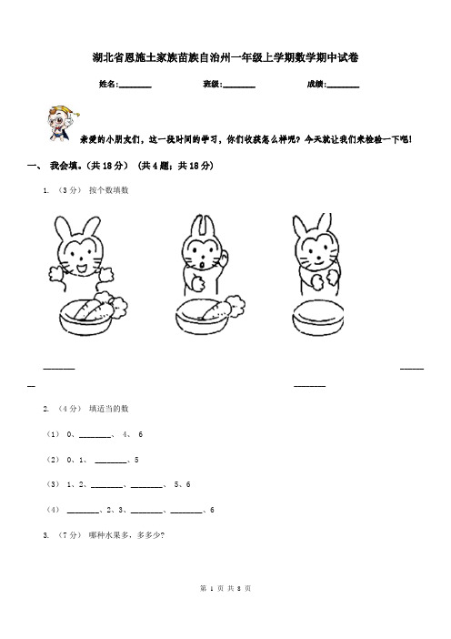 湖北省恩施土家族苗族自治州一年级上学期数学期中试卷