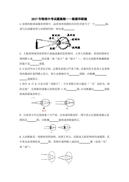 2017年中考物理试题集锦——眼睛和眼镜