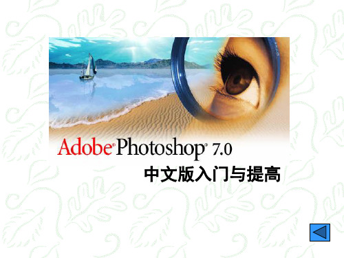 Photoshop7.0教学课件(经典版)