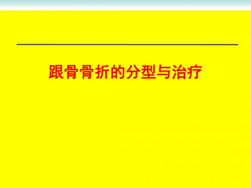 跟骨骨折的分型与治疗