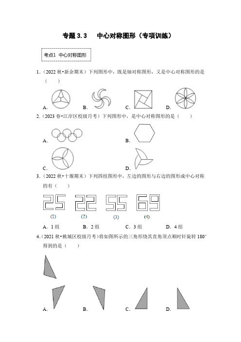 专题3.3中心对称图形(专项训练)(原卷版)2