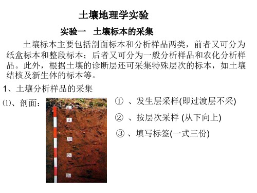 土壤地理学实验