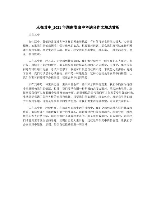 乐在其中_2021年湖南娄底中考满分作文精选赏析