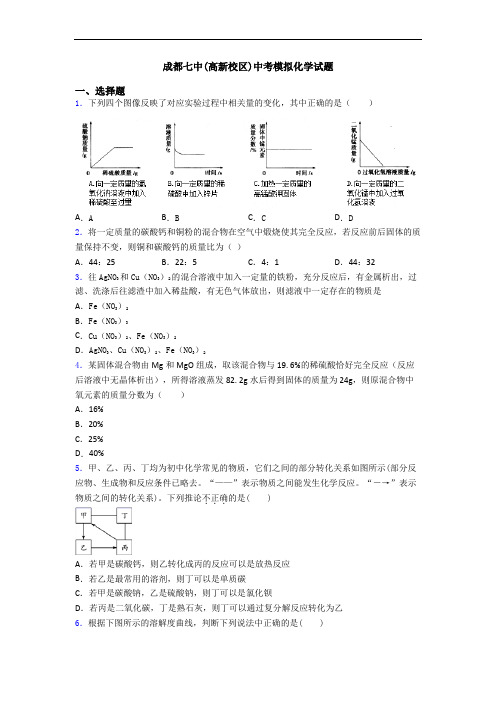 成都七中(高新校区)中考模拟化学试题