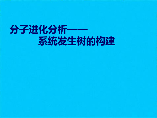 系统发育树构建PPT(共10张PPT)