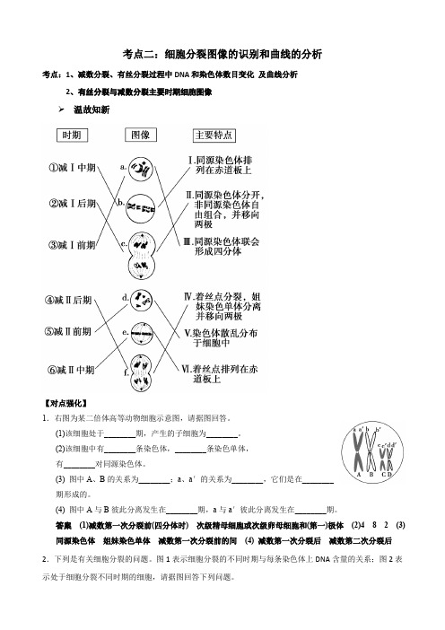 一轮复习学案细胞分裂图像识别和曲线分析(教师用)