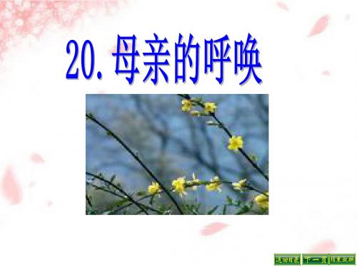 最新语文S版四年级语文下册20、母亲的呼唤ppt课件(ppt公开课优质教学课件)B