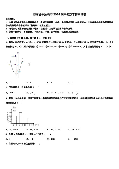 河南省平顶山市2024届中考数学仿真试卷含解析