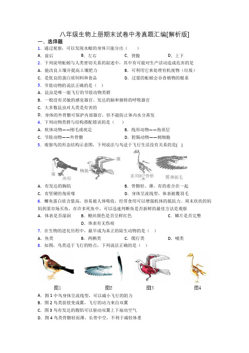 八年级生物上册期末试卷中考真题汇编[解析版]