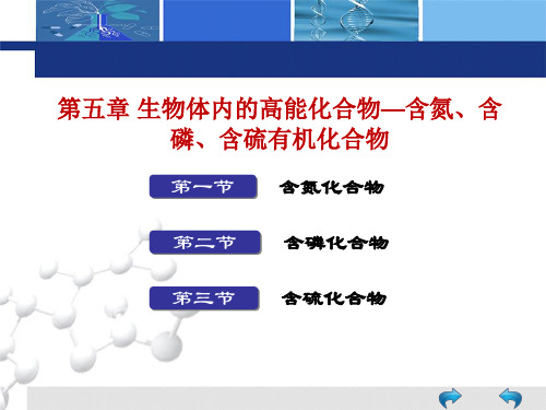 第05章 生物体内的高能化合物—含氮、含磷、含硫有机化合物