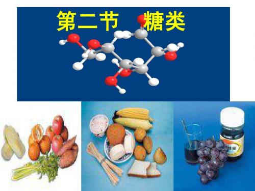 人教版化学选修5第4章第2节 糖类XS